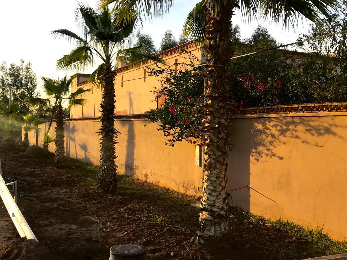 הוילה מרקש Palais Souad מראה חיצוני תמונה